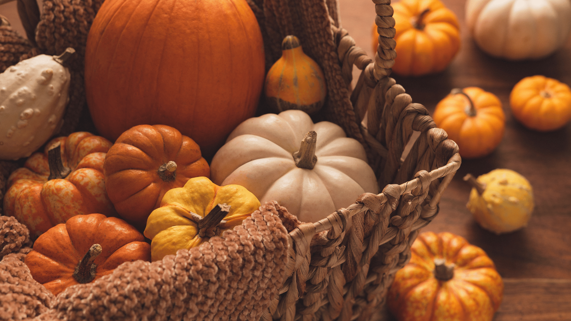 Pumpkin pie and bread on a rustic fall table preserved on Recipe Memory